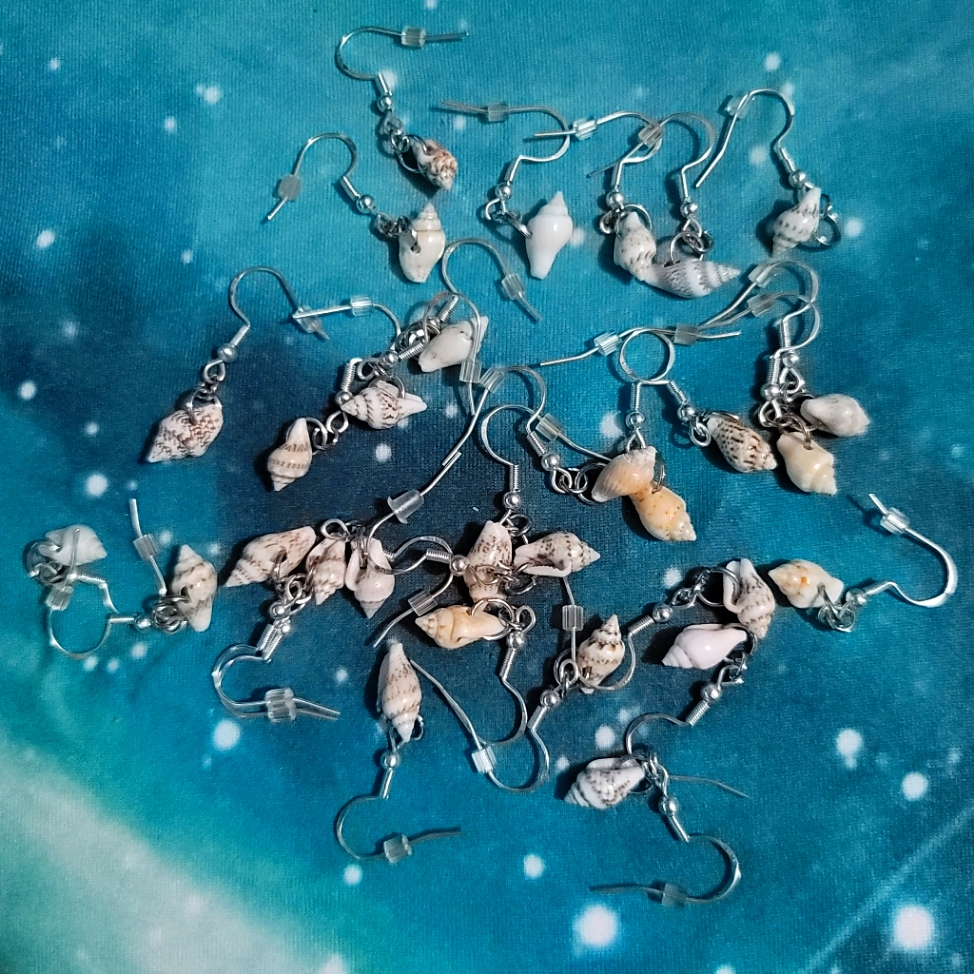 Tiny Shell Earrings(Random Selection)